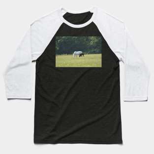 Mare and Foal Baseball T-Shirt